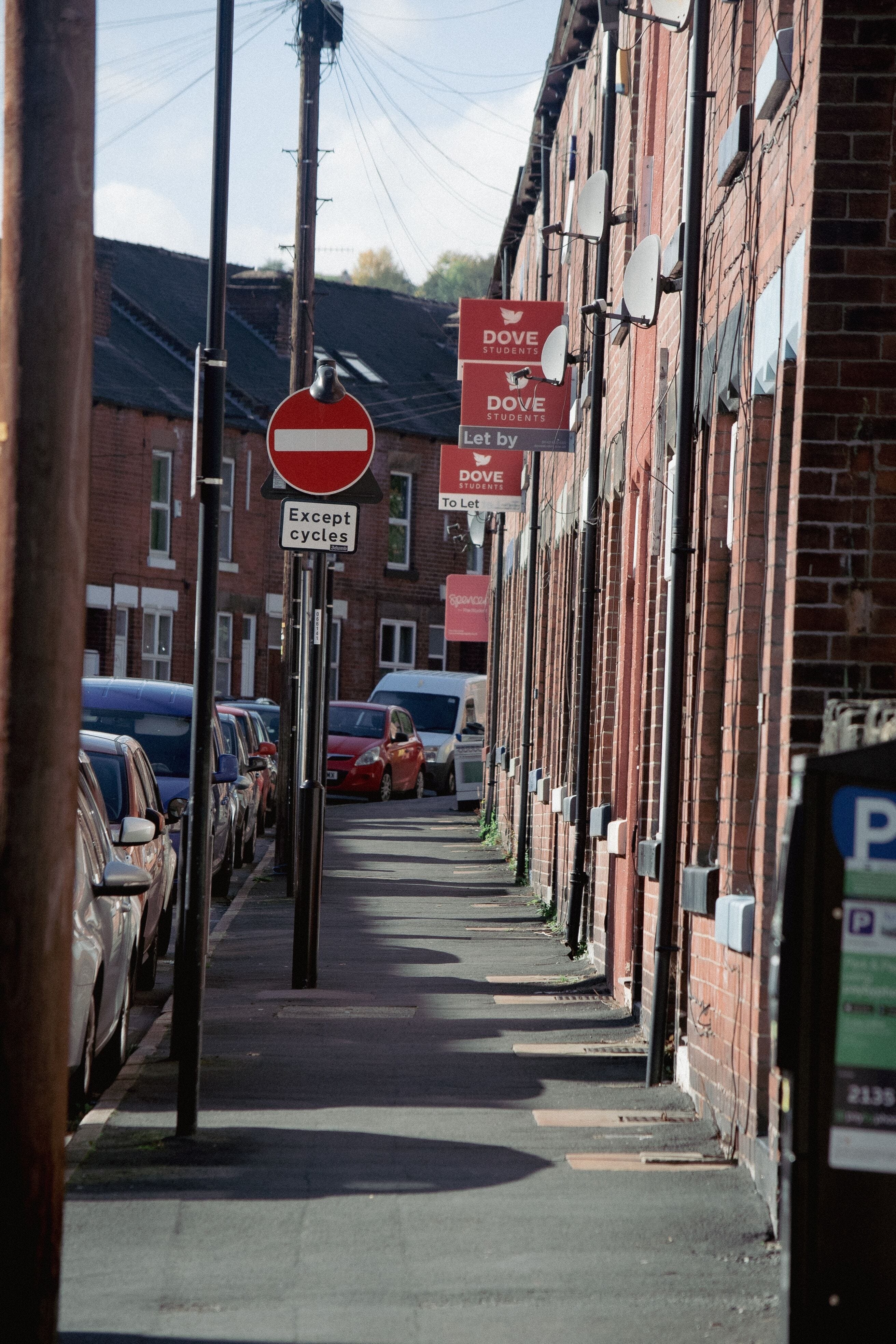 A street with a number of To Let signs attached to houses.