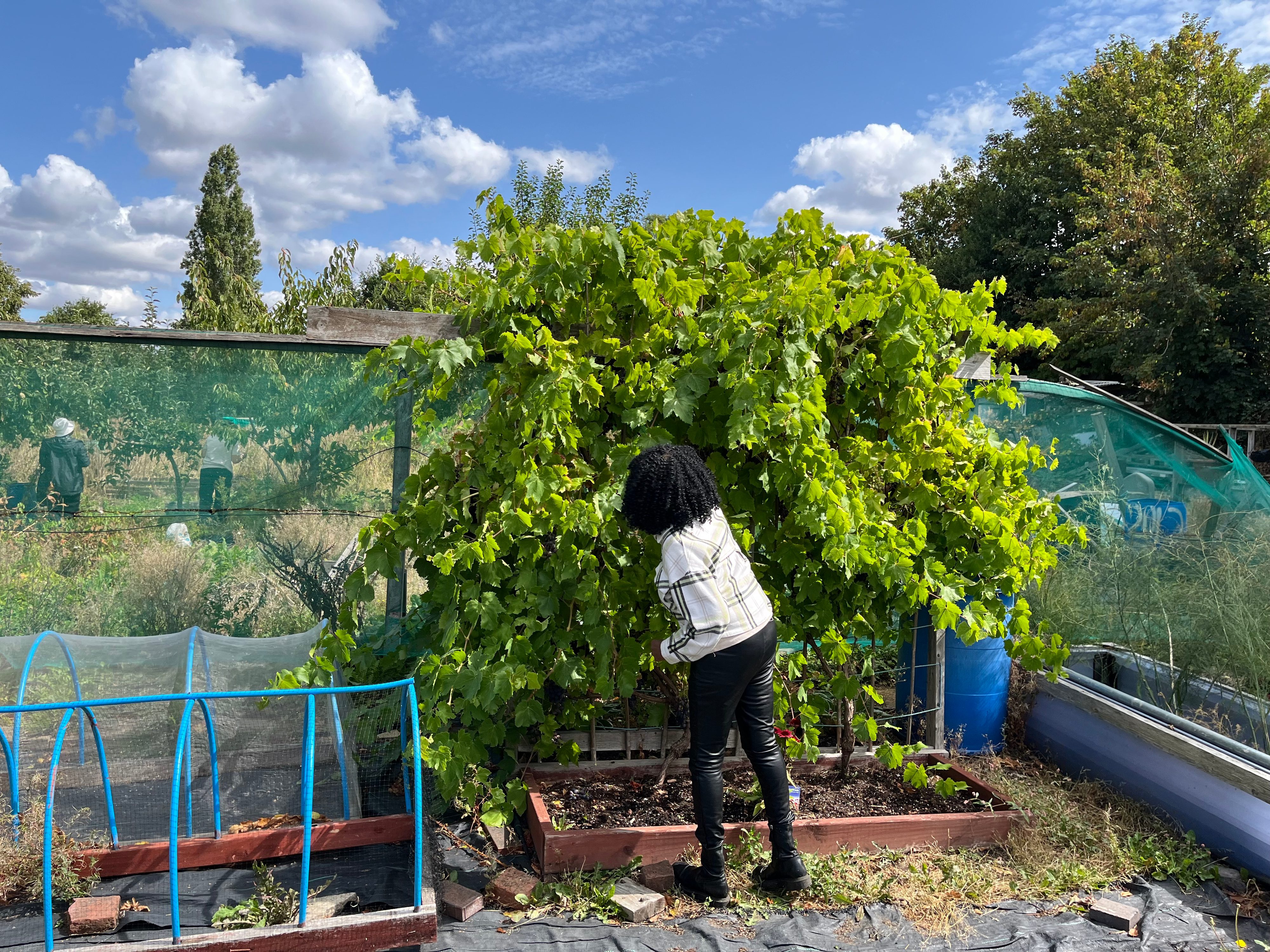 Access to green spaces can be a dividing line between good health and early death, says People’s Health Trust