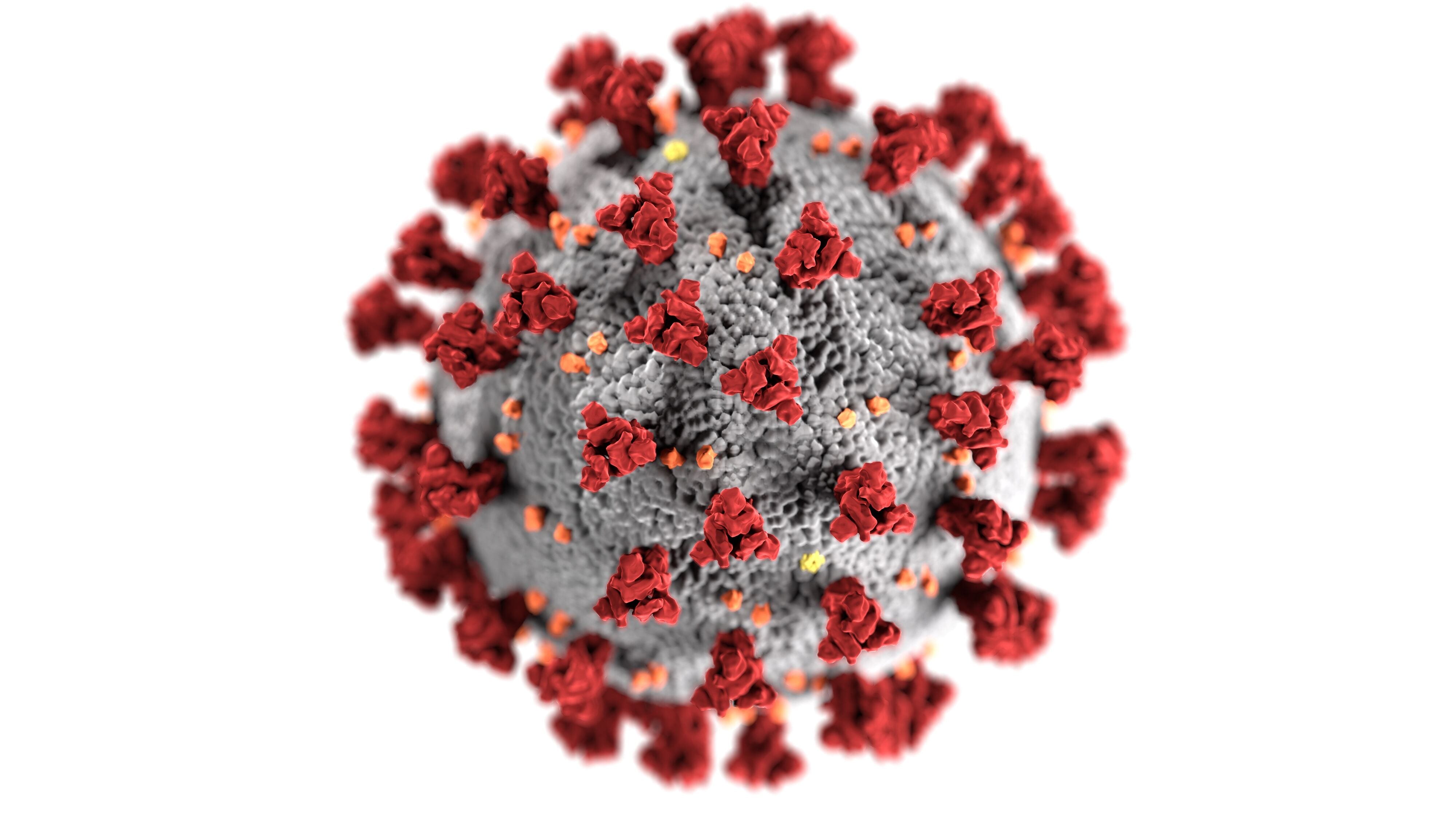 COVID-19 graphic